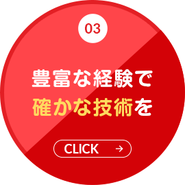 sp_bnrmany03